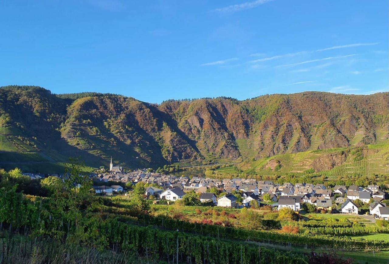Attraktive Wohnung-Elztalidyll-zwischen Mosel,Nürburgring und Burg Eltz Kollig Exterior foto